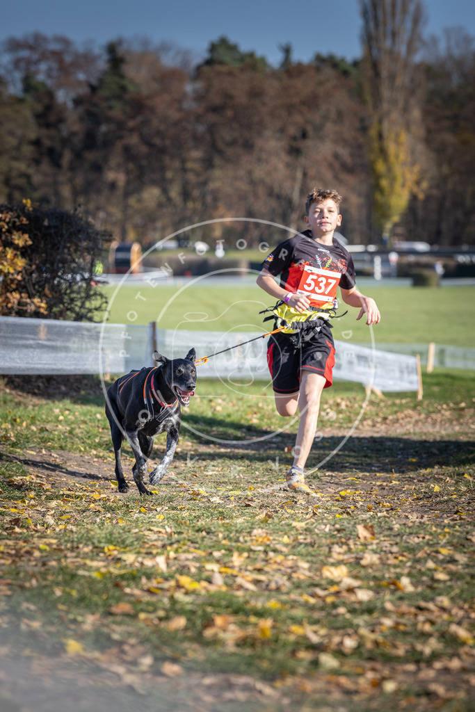 CaniXpix_DV3A8323 | Hundefotografie, Tierfotograf, Pfotenfotografie, Fotoshooting Hund, Hunde Portrait, Hundesport, Hundeportraits, Heideshooting, Hunde, Sportfotograf, Hundefotograf, Turnierhundsport, THS,  - Realisiert mit Pictrs.com