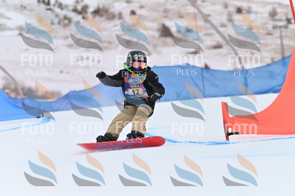 BGV_4541 | holidayphoto