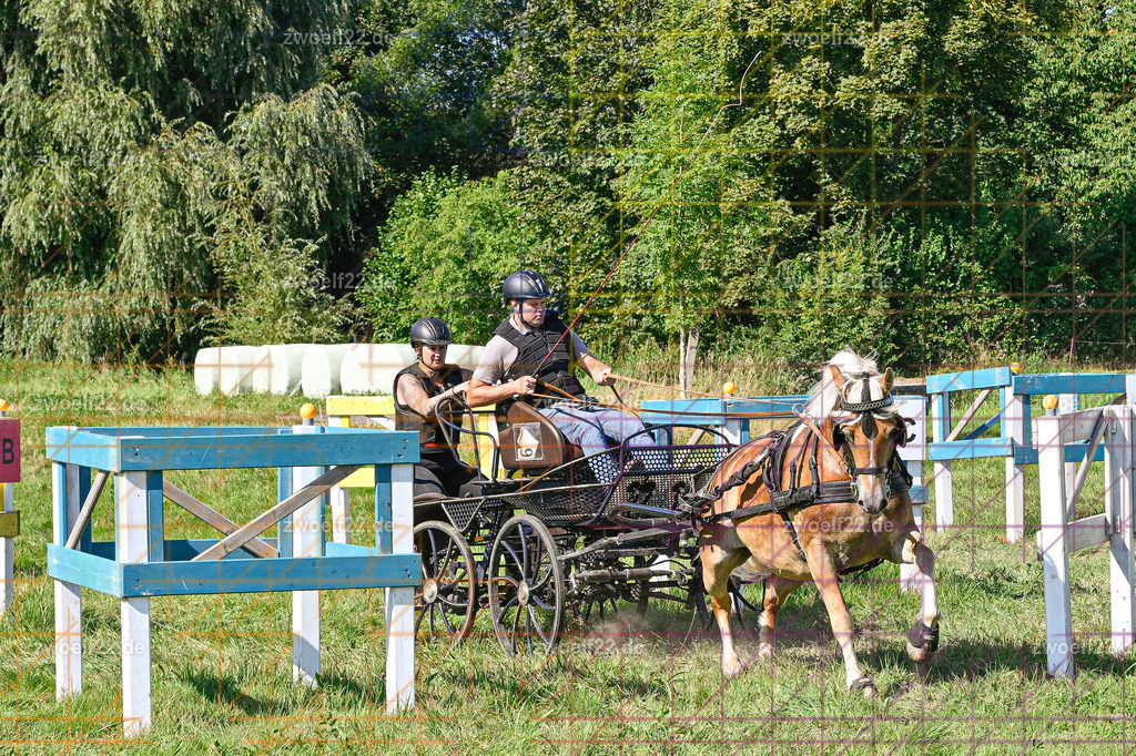 30 Jahre RFV Pulsnitz e.V., Pulsnitz am 09.08.2026 | 30Jahre Reit- und Fahrverein Pulsnitz e.V., Pulsnitz am 08.08.2026Zur 28. breitensportlichen Veranstaltung des RFV Pulsnitz e.V. fanden verschiedene Wettbewerbe in nahezu allen Disziplinen des Pferdesport statt.- Geländefahr-Wettbewerb - Realisiert mit Pictrs.com