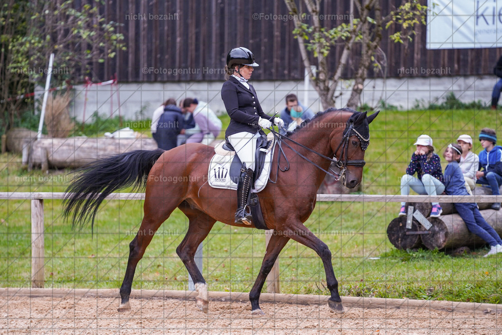 20231007-SN_00978 | Professionelle Turnier- und Reitsportfotografie - mit dem Finger am Auslöser. Pferdebilder aus dem Reitsport von den Turnierfotografen  Bayern , Pferdefotograf Bayern, Pferdeshooting Turnierbilder, Hochzeitsfotograf, Eventfotograf, Hochzeitsbilder