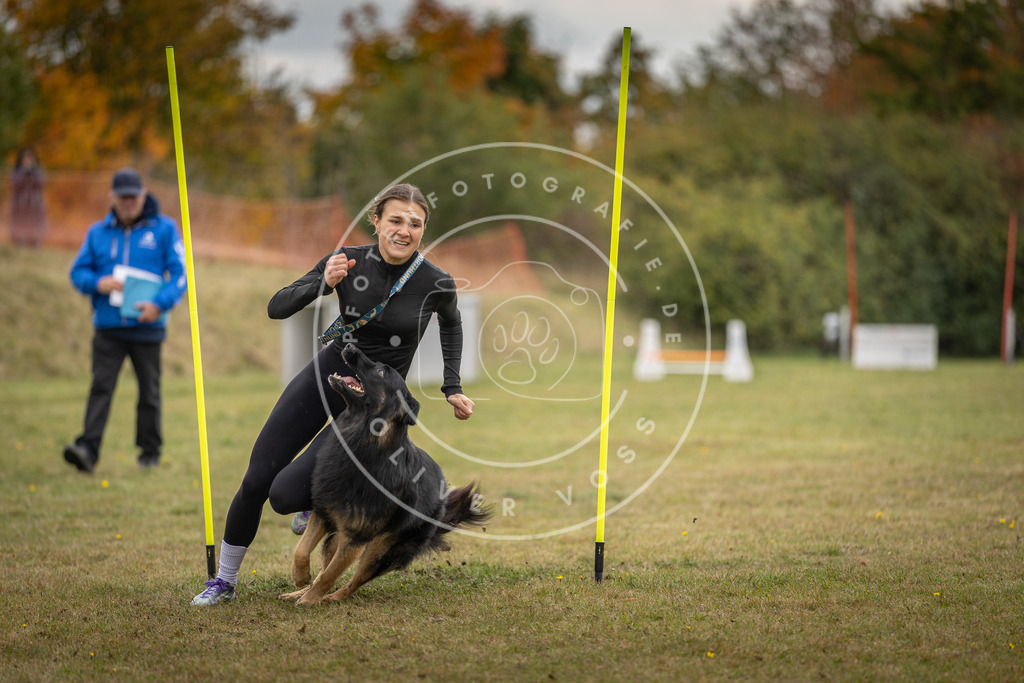 Pfotenfotografie_DV3A7750 | Hundefotografie, Tierfotograf, Pfotenfotografie, Fotoshooting Hund, Hunde Portrait, Hundesport, Hundeportraits, Heideshooting, Hunde, Sportfotograf, Hundefotograf, Turnierhundsport, THS,  - Realisiert mit Pictrs.com