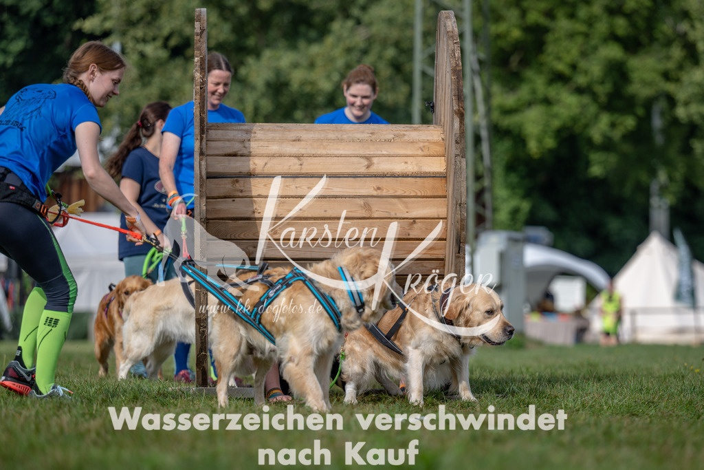 1039_ZZ92915 | kk-dogfotos