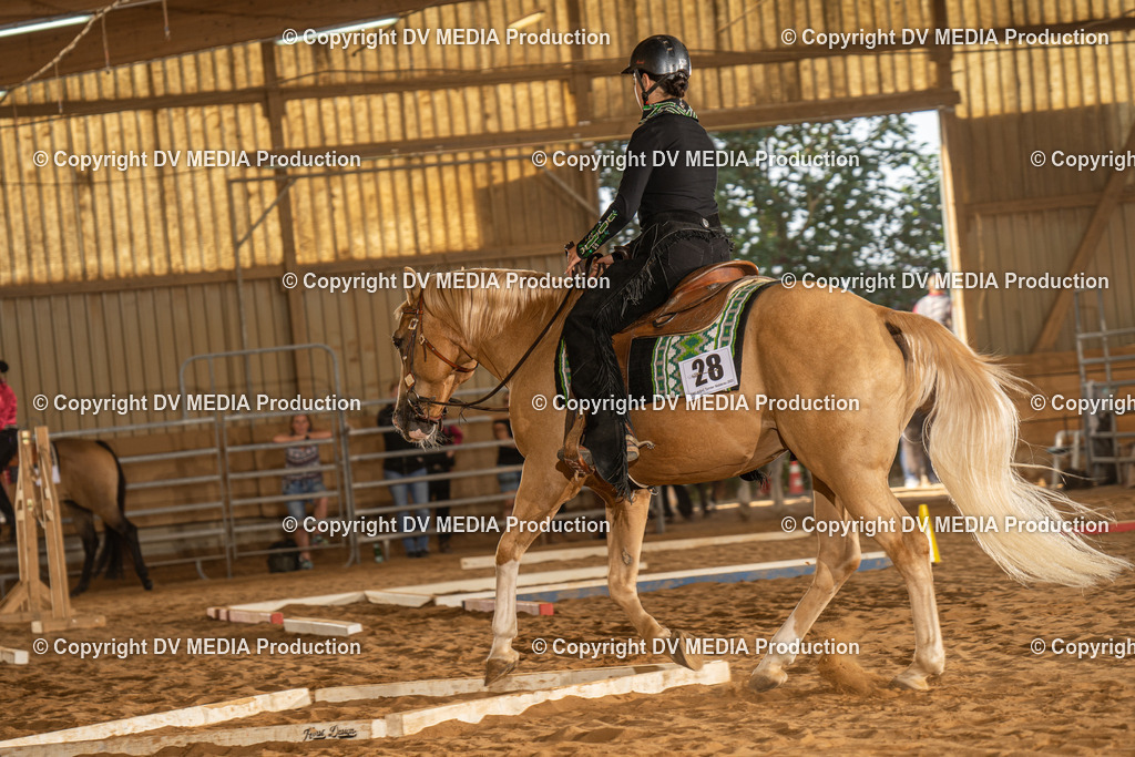 NID02756 | dv-media-shop - Realisiert mit Pictrs.com