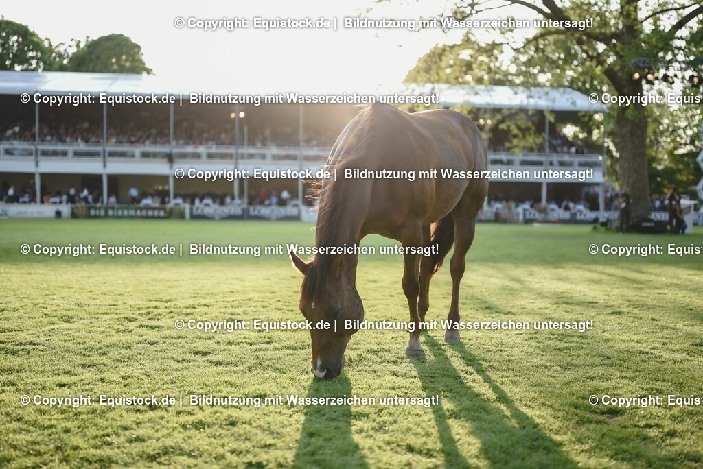 20230526_Impressionen_0345 | equistock