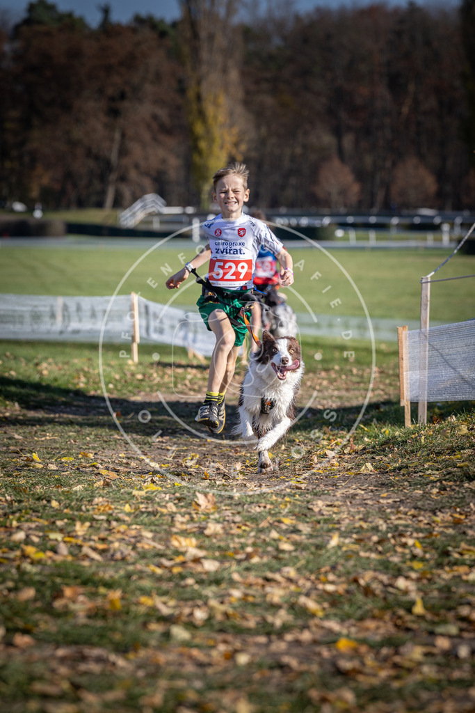 CaniXpix_DV3A8224 | Hundefotografie, Tierfotograf, Pfotenfotografie, Fotoshooting Hund, Hunde Portrait, Hundesport, Hundeportraits, Heideshooting, Hunde, Sportfotograf, Hundefotograf, Turnierhundsport, THS,  - Realisiert mit Pictrs.com