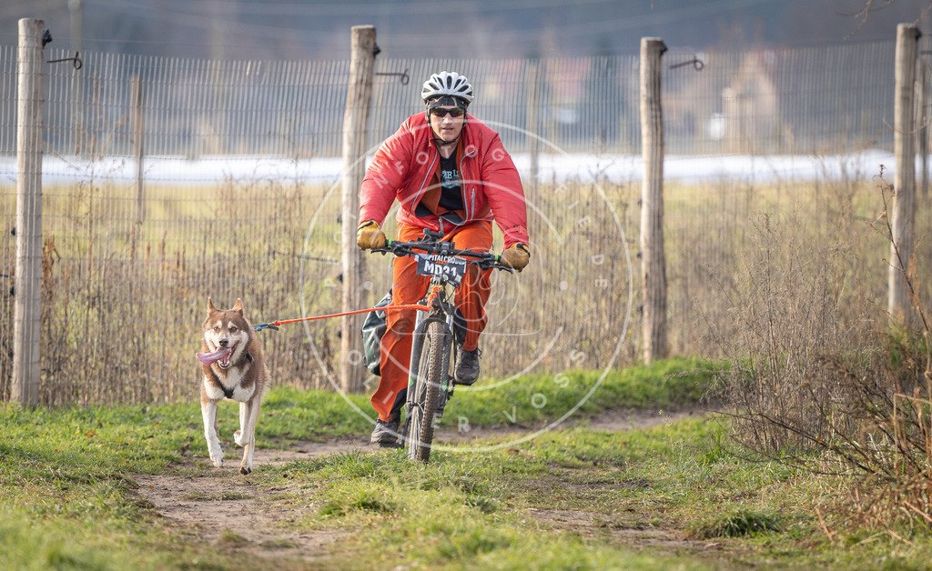 Pfotenfotografie_DV3A6707 | Hundefotografie, Tierfotograf, Pfotenfotografie, Fotoshooting Hund, Hunde Portrait, Hundesport, Hundeportraits, Heideshooting, Hunde, Sportfotograf, Hundefotograf, Turnierhundsport, THS,  - Realisiert mit Pictrs.com