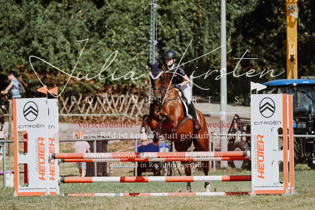 DSC_9806 | Pferde- und Turnierfotografie in Westsachsen. Pferdeportraits, Auftragszeichnungen und intuitive Kunst.