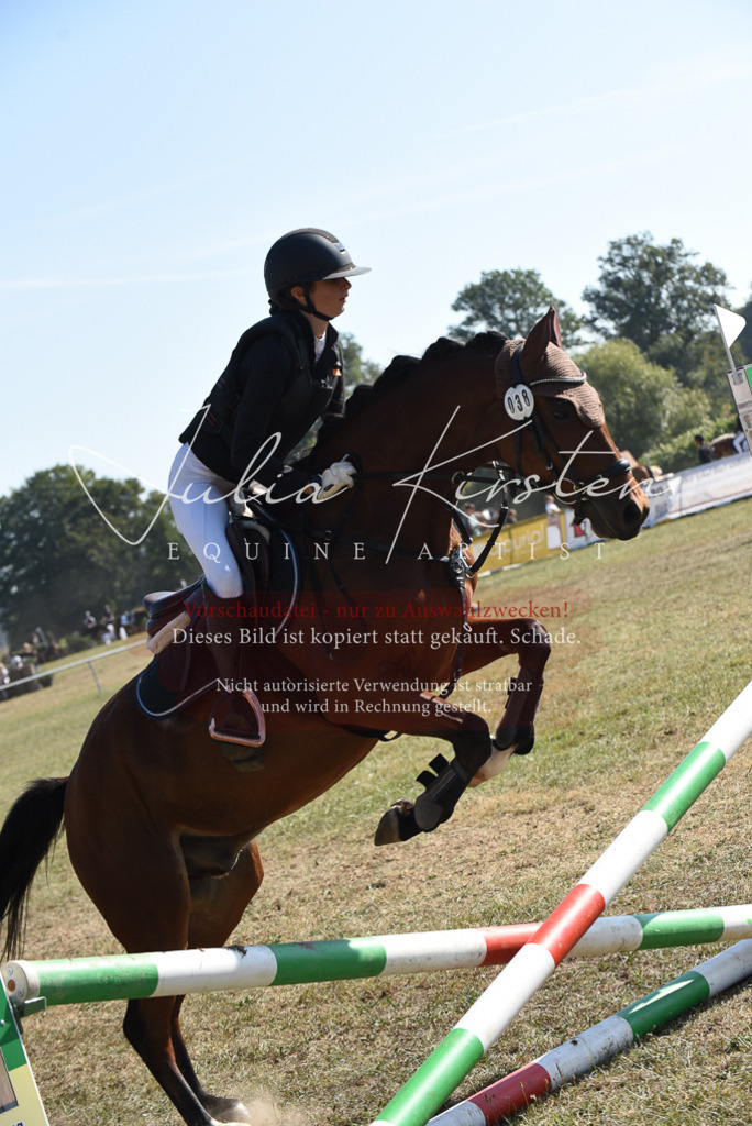 DSC_6126 | Pferde- und Turnierfotografie in Westsachsen. Pferdeportraits, Auftragszeichnungen und intuitive Kunst.