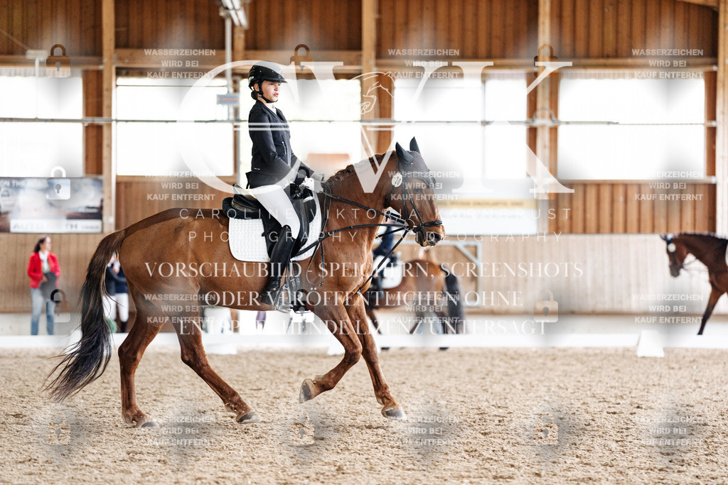 CK900603 | Turnierfotografie Pferdefotografie Trier Rheinland-Pfalz Pferdesport Reitsport Tierfotografie Sportfotografie Pferdevideo Pferdevideografie Equestrianvideography equestrianphotography  - Realisiert mit Pictrs.com