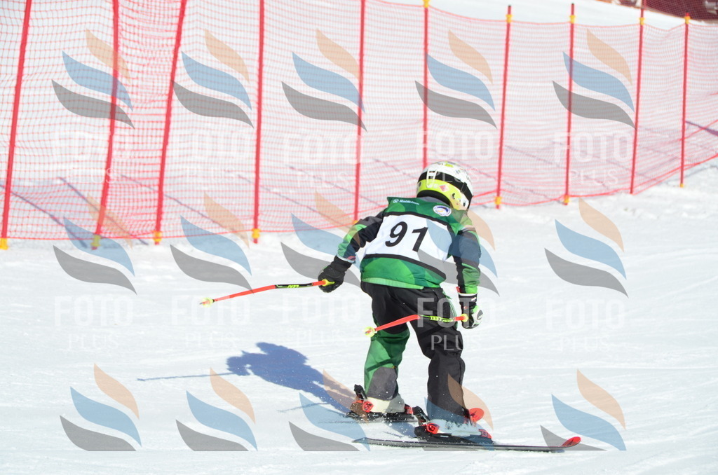 C5703 | holidayphoto