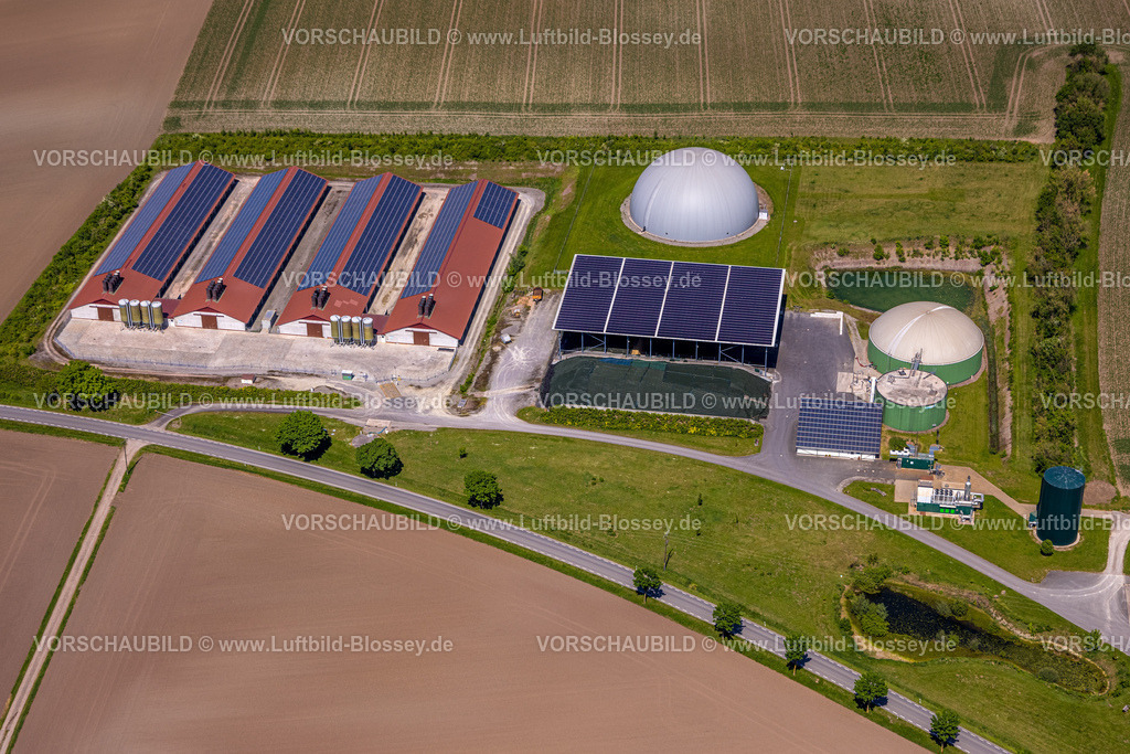 Borgentreich240505088GutDinkelburg | Luftbild, Biogasanlage und landwirtschaftlicher Betrieb mit Solardach, Gutsverwaltung Gut Dinkelburg Graf von Westphalen, Dinkelburg, Borgentreich, Ostwestfalen, Nordrhein-Westfalen, Deutschland