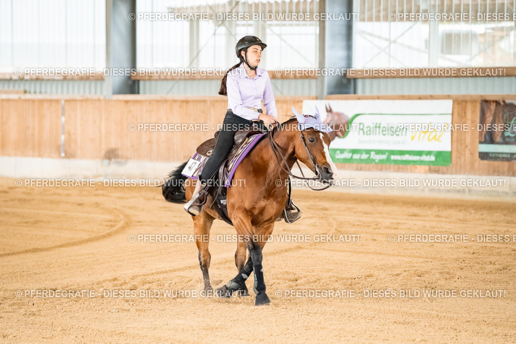 DSC01969 | Pferdegrafie