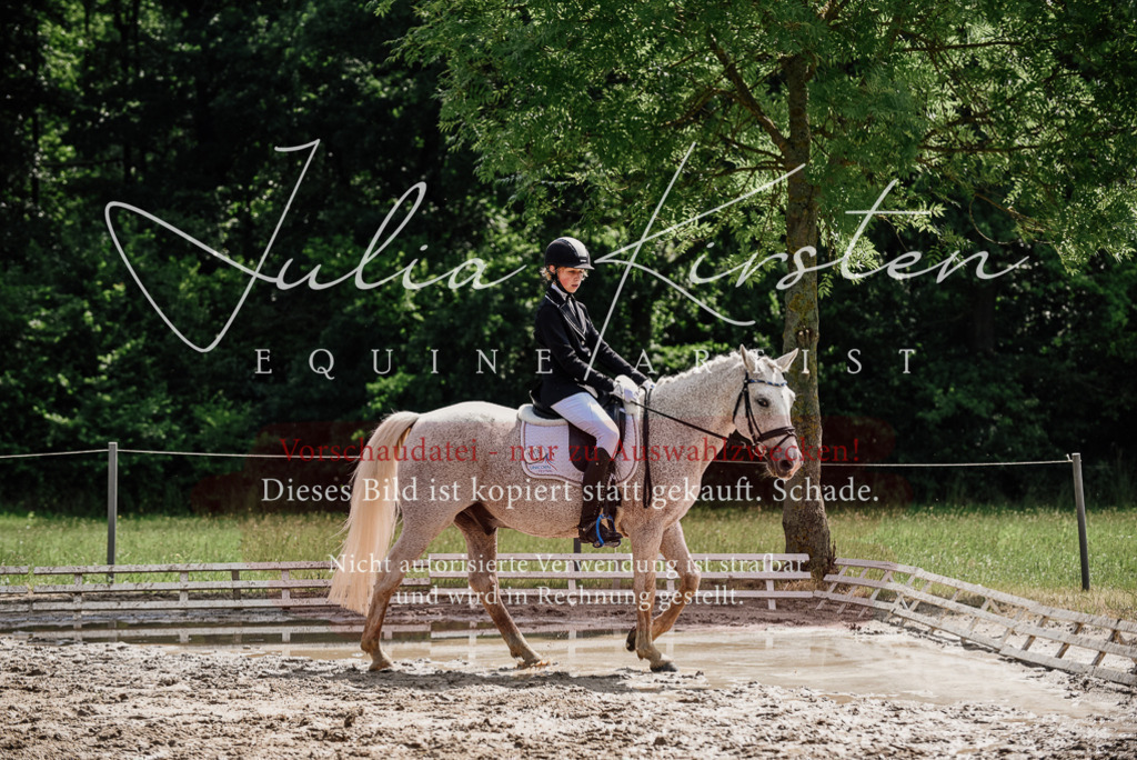 DSC_0530 | Pferde- und Turnierfotografie in Westsachsen. Pferdeportraits, Auftragszeichnungen und intuitive Kunst.