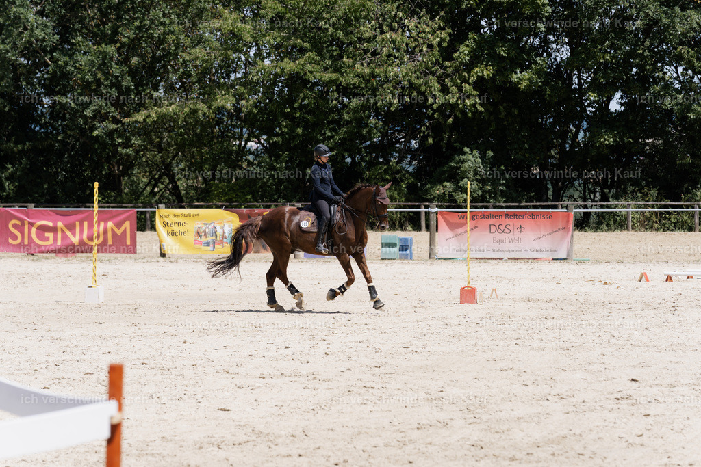 WM_SP_5_SinaFilmArt_IN07485 | working equitationturnier fotograf videograf stoibphotography marixx film working equitation deutschland reitsport turnierfotografie eventfotografie equestrian events