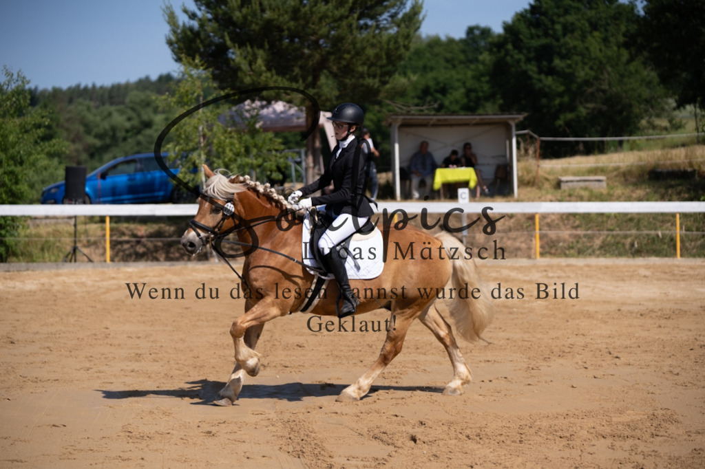 A7V07774 | Turnier/Reitfotograf
