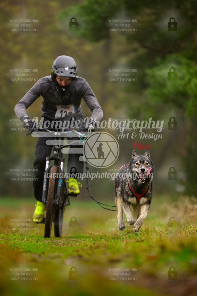 MompixPhotography_Bischwiller2025_Bike-77 | mompixphotography