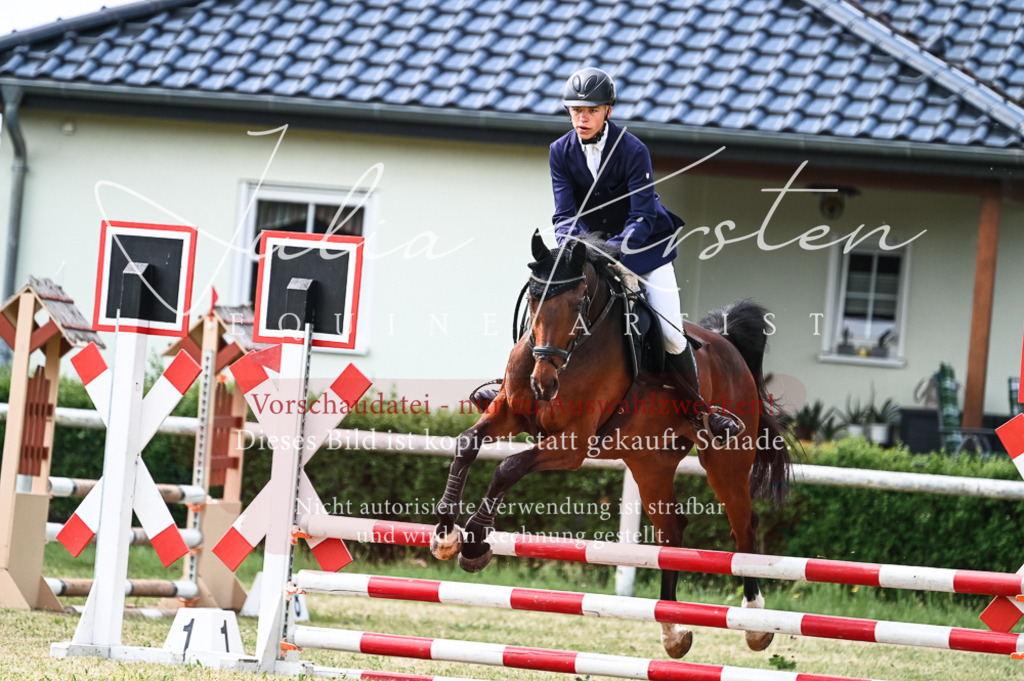 DSC_8943 | Pferde- und Turnierfotografie in Westsachsen. Pferdeportraits, Auftragszeichnungen und intuitive Kunst.