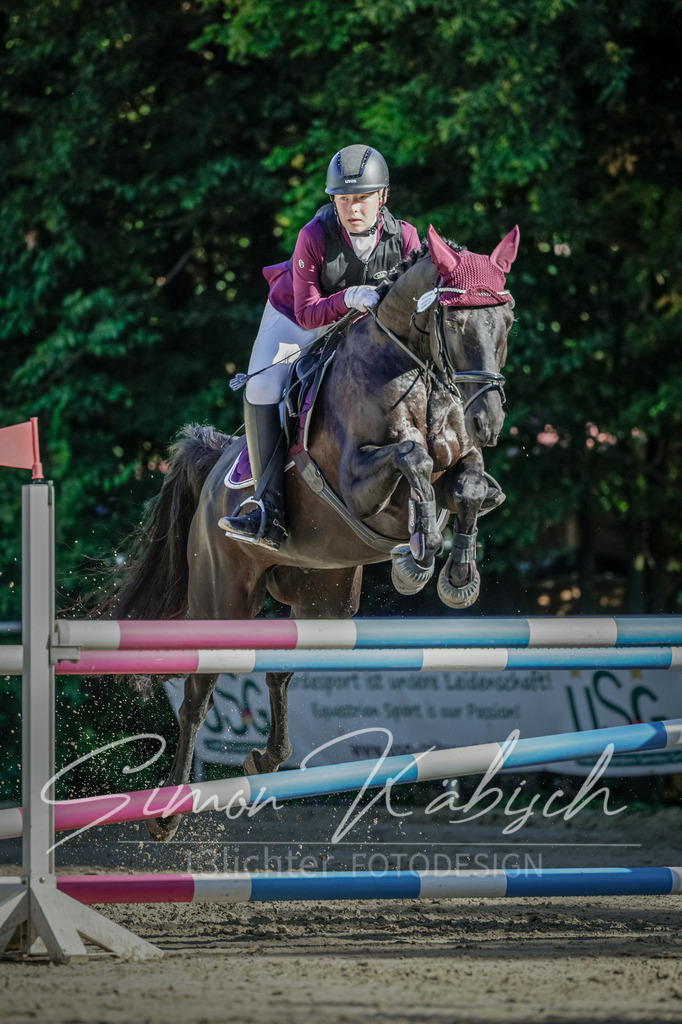 20250906-_3LI3328 | Tierfotografie Pferde, Hunde, Katzen, Haustiere.
Turnierfotografie Reitturniere, Reiten, Springreiten, Dressur in Hanau, dem Main-Kinzig-Kreis und dem Rhein-Main- Gebiet um Frankfurt