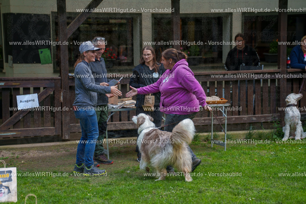 @allesWIRTHgut_Tierfotografie - www.allesWIRTHgut.de - 7R503989 | Professionelle Tierfotografie in Mönchengladbach von Daniel Wirth (allesWIRTHgut). Liebevolle & natürliche Bilder von Hunden & Katzen für unvergessliche Erinnerungen.