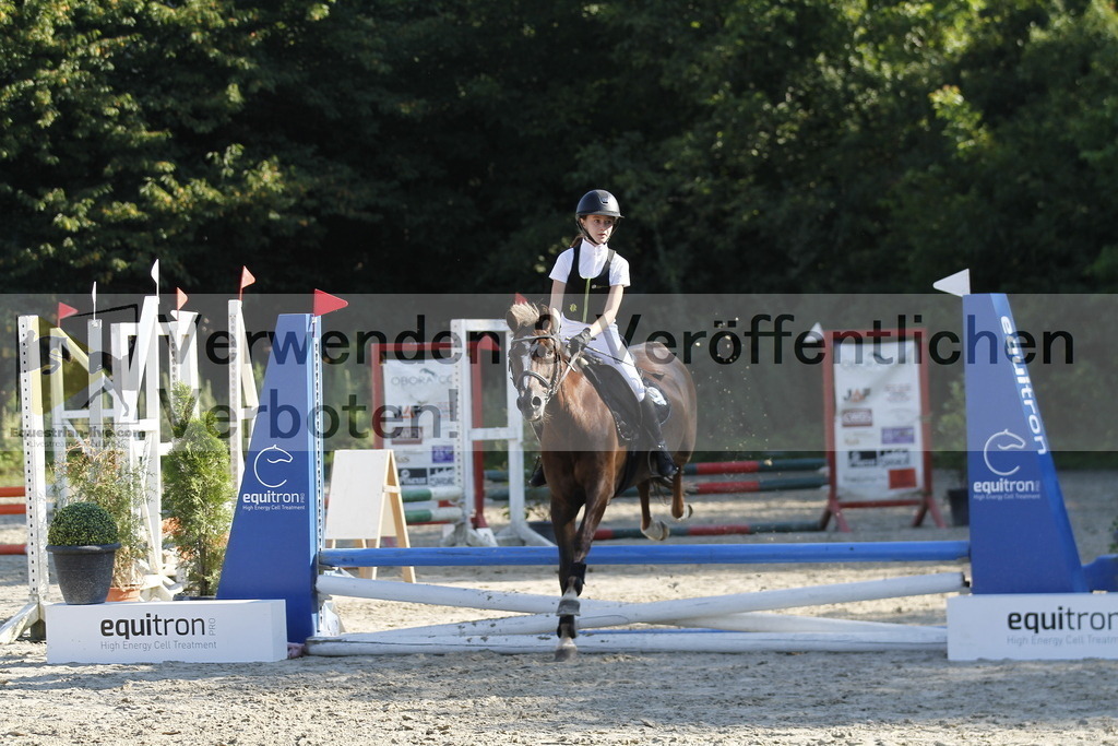 _MG_6267 | equestrian-live-com