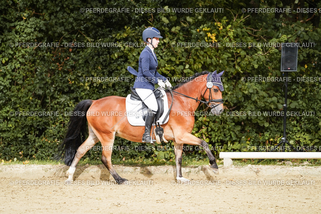 DSC00459 | Pferdegrafie