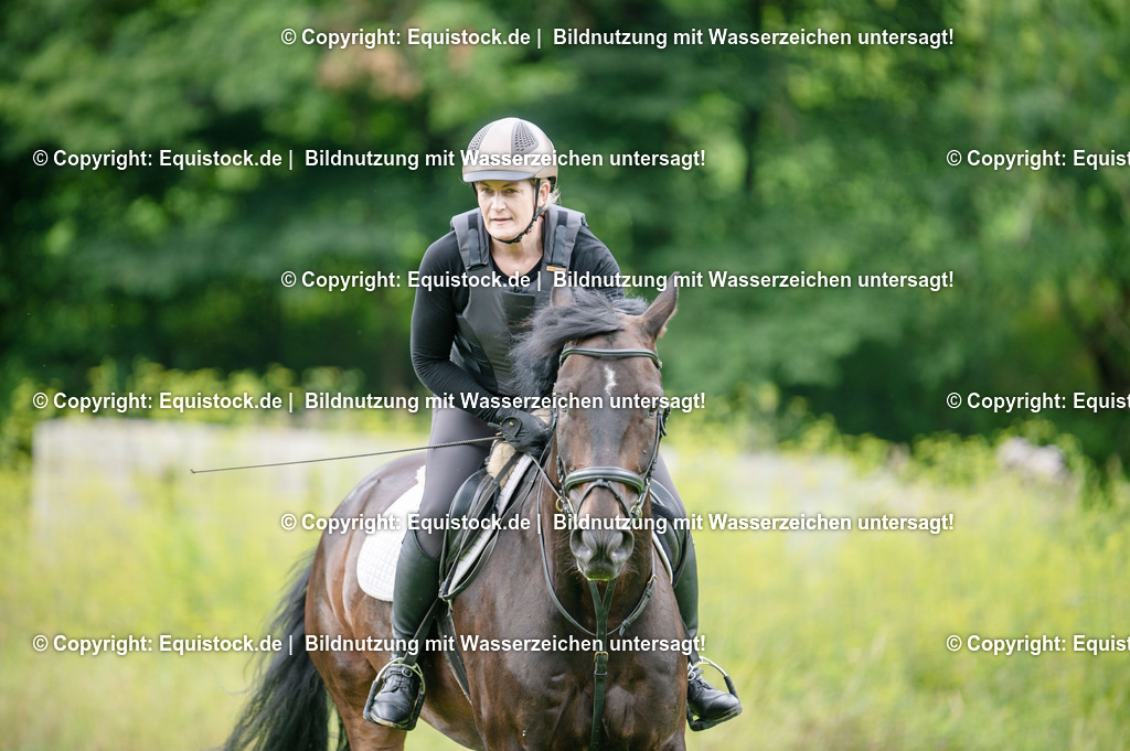 20250725_Vielseitigkeitslehrgang-Marbach_0128 | Foto: Thomas Hartig