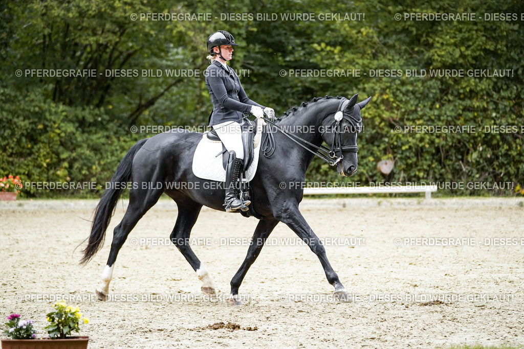 DSC02325 | Pferdegrafie