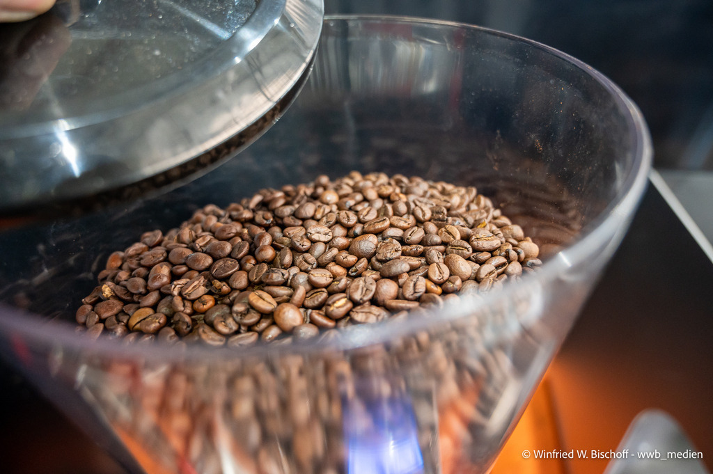 _DSC2255 | <Fotografie> <Video> <Film> <Winfried Bischoff> - Realisiert mit Pictrs.com