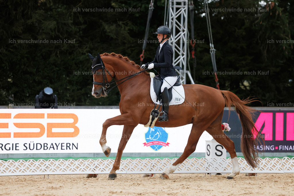 04_2-064-Dressur M__ -StoibPH-2989 | working equitationturnier fotograf videograf stoibphotography marixx film working equitation deutschland reitsport turnierfotografie eventfotografie equestrian events