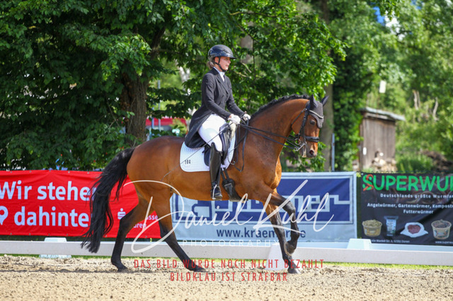 DKP41401 | Turnierfotos kaufen im Webshop von Daniel Kuhl Photography – entdecke professionelle Reitsportfotos aus Turnieren & Events. Hochwertige Turnierbilder online bestellen & sichern. Jetzt Fotos von Reitsportturnieren kaufen!