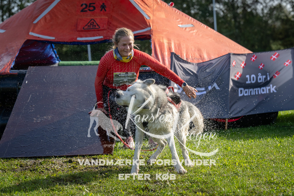 1155-92392 | kk-dogfotos
