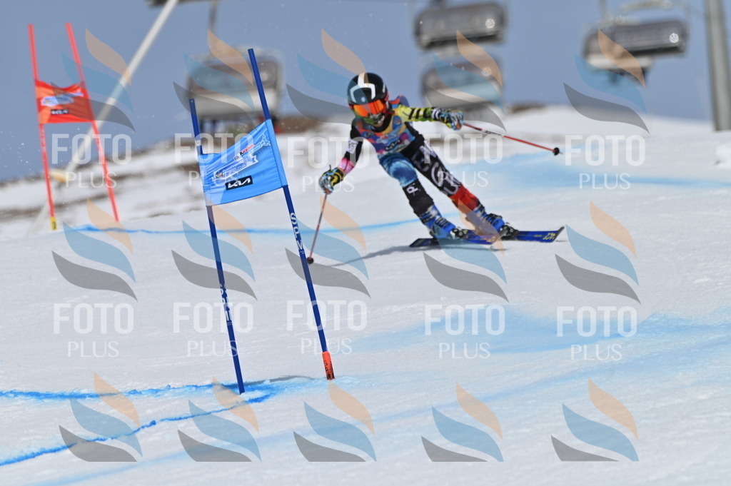 BGV_3466 | holidayphoto