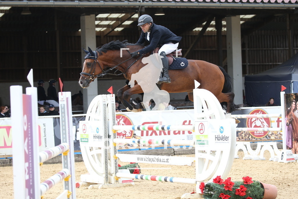 DL2Q2675 | Willkommen bei Brunnmayr - Design & Fotografie – Ihrem Spezialisten für Reitturniere und Pferdeveranstaltungen in Oberösterreich, Salzburg und Bayern! Seit über 17 Jahren sind wir leidenschaftlich dabei.