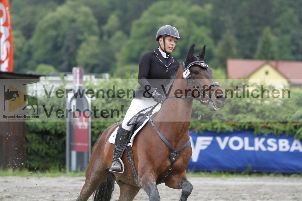 _MG_3695 | equestrian-live-com