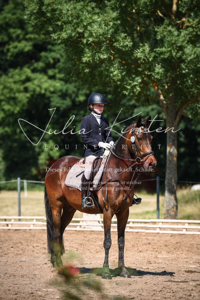 DSC_3307 | Pferde- und Turnierfotografie in Westsachsen. Pferdeportraits, Auftragszeichnungen und intuitive Kunst.