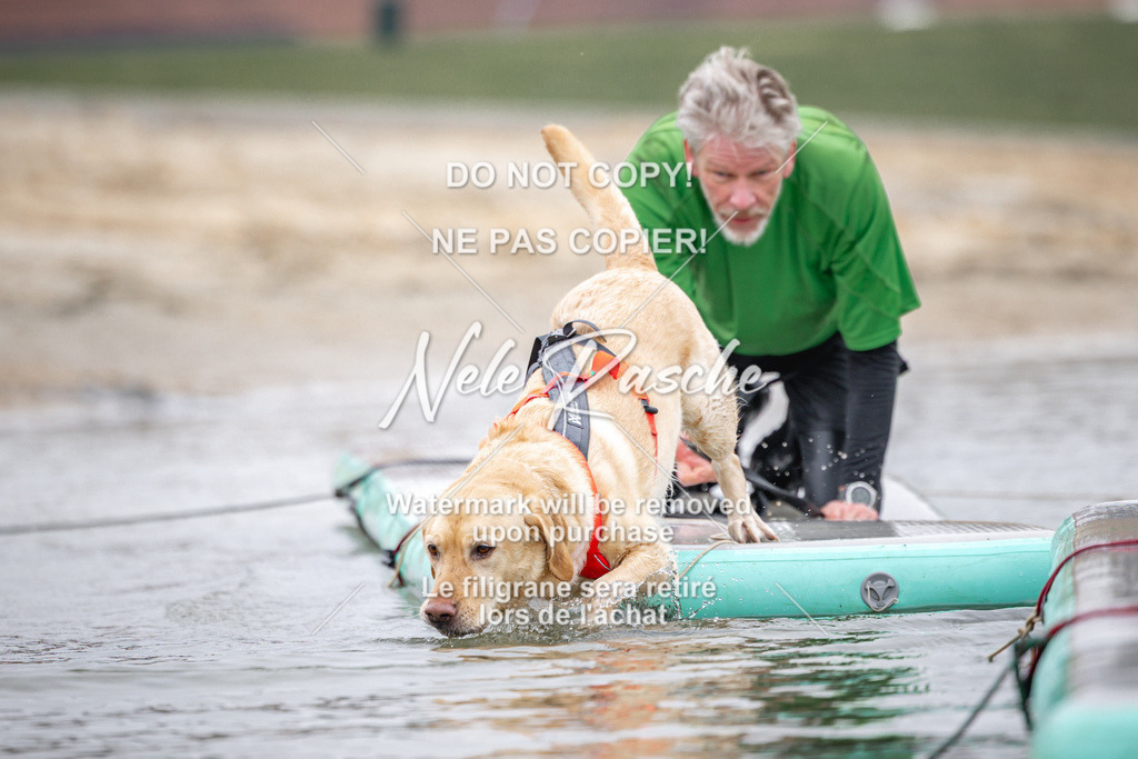 nelerasche_Hulsbeek_Sa1030-1100_667 | nelerasche