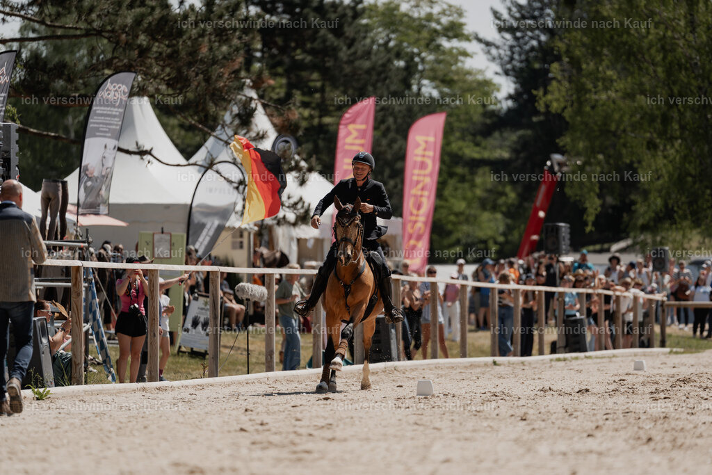 WE_SP_Stoib_311_PI2025_1683 | Pferd International München 2025