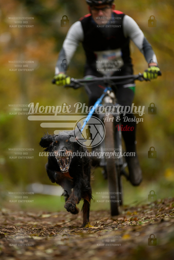 MompixPhotography_Bischwiller24_SA_VTT-7 | PayLife