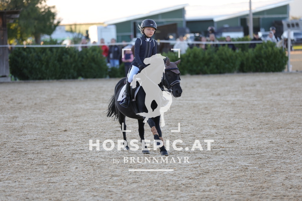 0P6A2554 | Willkommen bei Brunnmayr - Design & Fotografie – Ihrem Spezialisten für Reitturniere und Pferdeveranstaltungen in Oberösterreich, Salzburg und Bayern! Seit über 17 Jahren sind wir leidenschaftlich dabei.