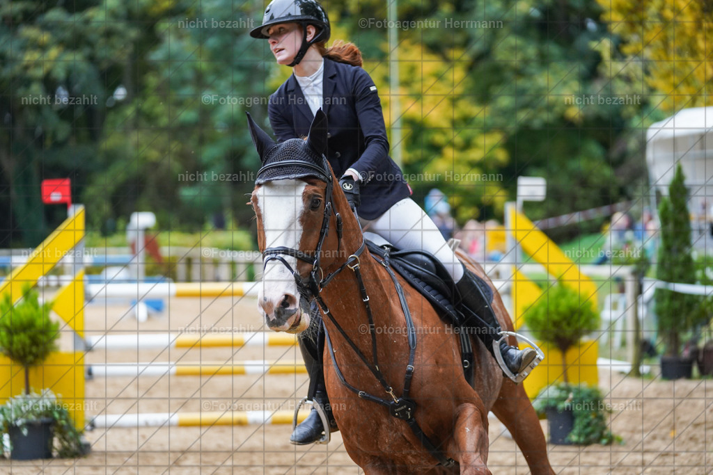 20221009-FAH08977 | Diessen am Ammersee, 2022, Dressur- und Springturnier, Reitsportbilder, Turnierfotografen Bayern, Pferdefotografen, Fotoagentur Herrmann, Turnierbilder