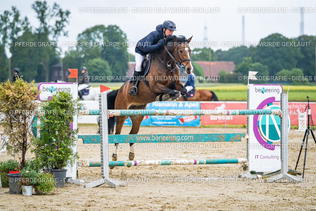 DSC03814 | Pferdegrafie