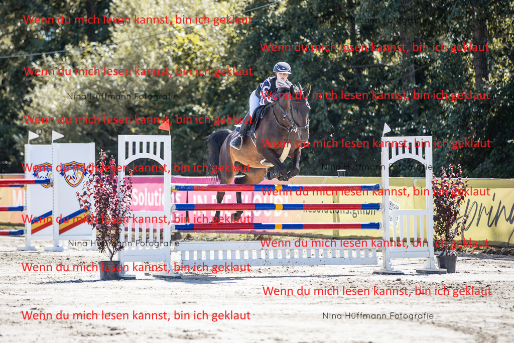 BK1A6702 | Turnierbilder Turnierfotos Nina Hüffmann Turnierfotografie Pferdefotografie Tierzeichnung Haustierzeichnung Pferdezeichnung Hundezeichnung Videograf  - Realisiert mit Pictrs.com