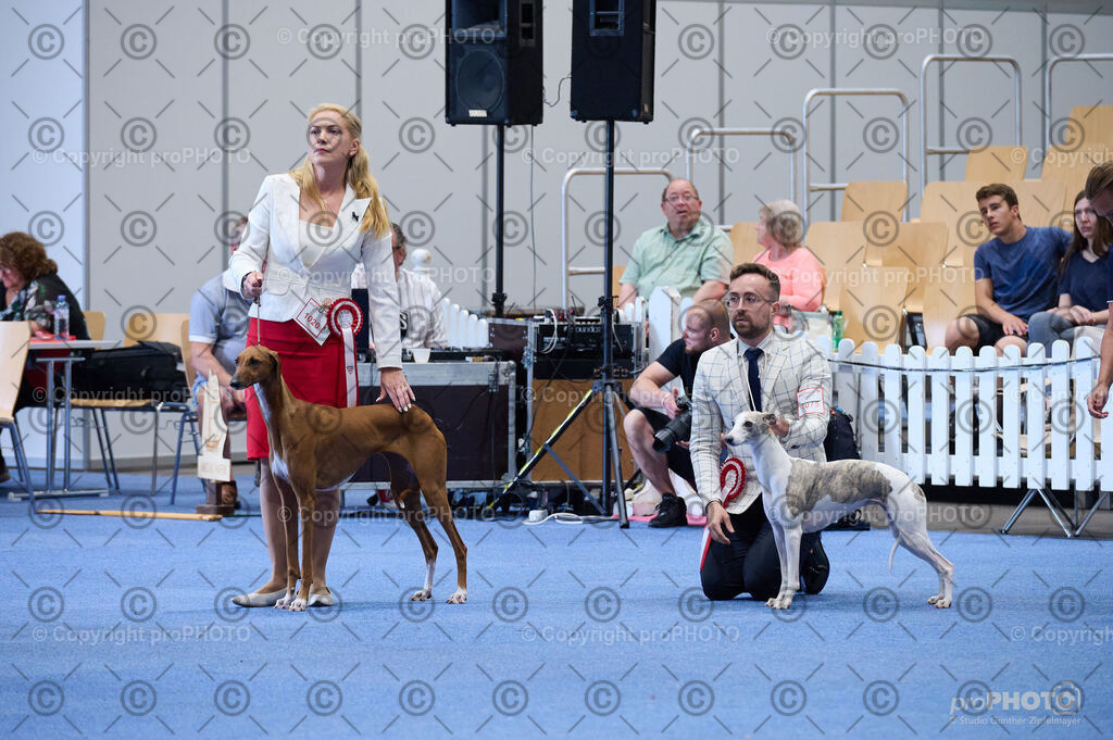 202406_ÖKV-IHA-Tulln24_DSC_5187 | proPHOTO - Realisiert mit Pictrs.com