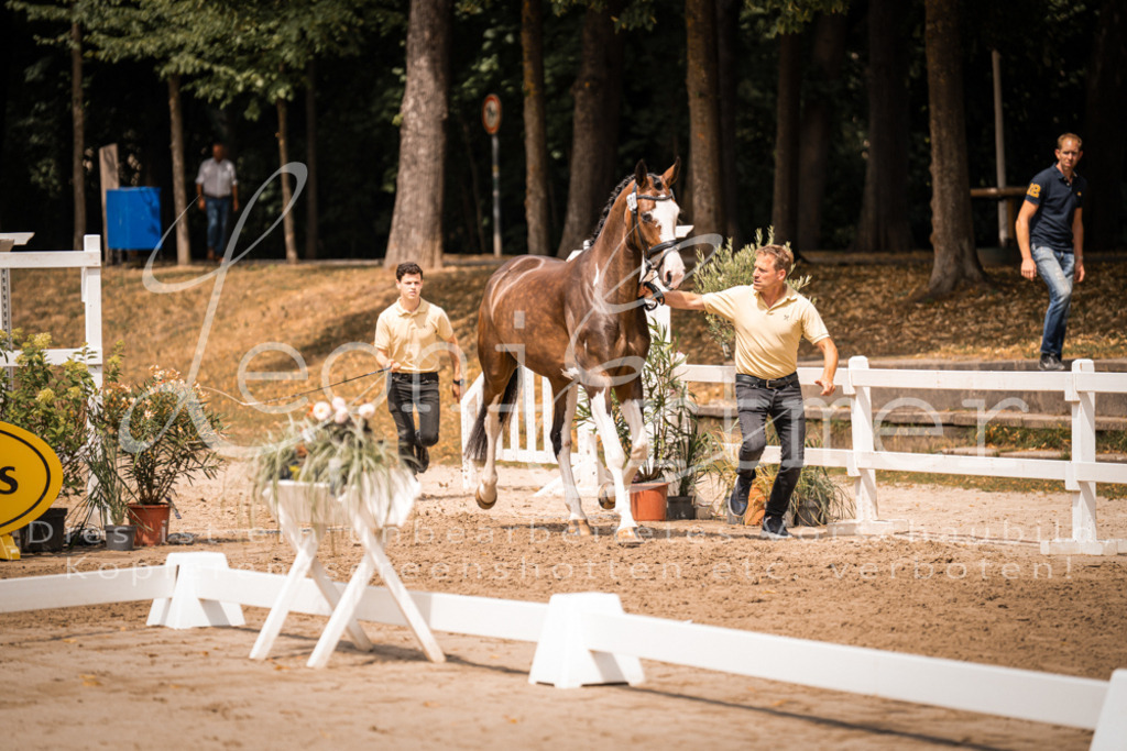 2. Fr00138 | Leoni Ertmer Photography - Realisiert mit Pictrs.com