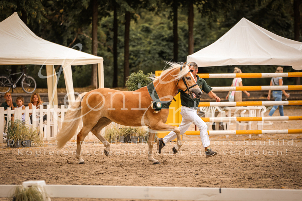 06.So00167 | Leoni Ertmer Photography - Realisiert mit Pictrs.com