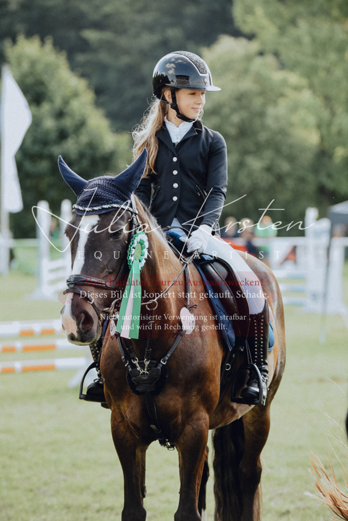 DSC_8983 | Pferde- und Turnierfotografie in Westsachsen. Pferdeportraits, Auftragszeichnungen und intuitive Kunst.