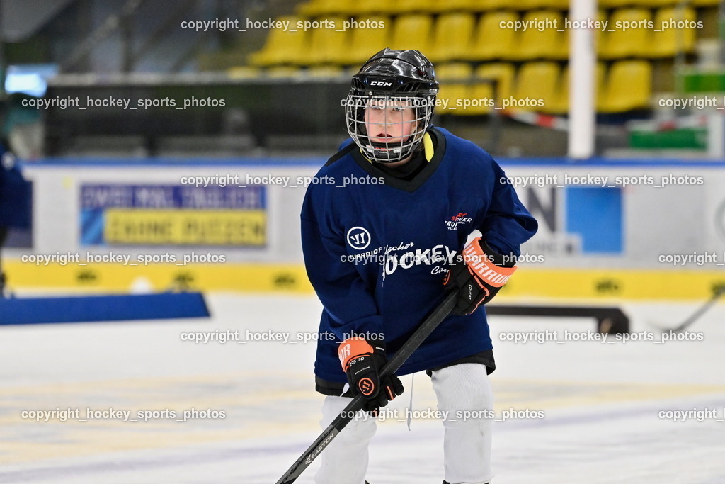 Z9B_1763 | hockey sports photos, Pressefotos, Sportfotos, hockey247, win 2day icehockeyleague, Handball Austria, Floorball Austria, ÖVV, Kärntner Eishockeyverband, KEHV, KFV, Kärntner Fussballverband, Österreichischer Volleyballverband, Alps Hockey League, ÖFB, 