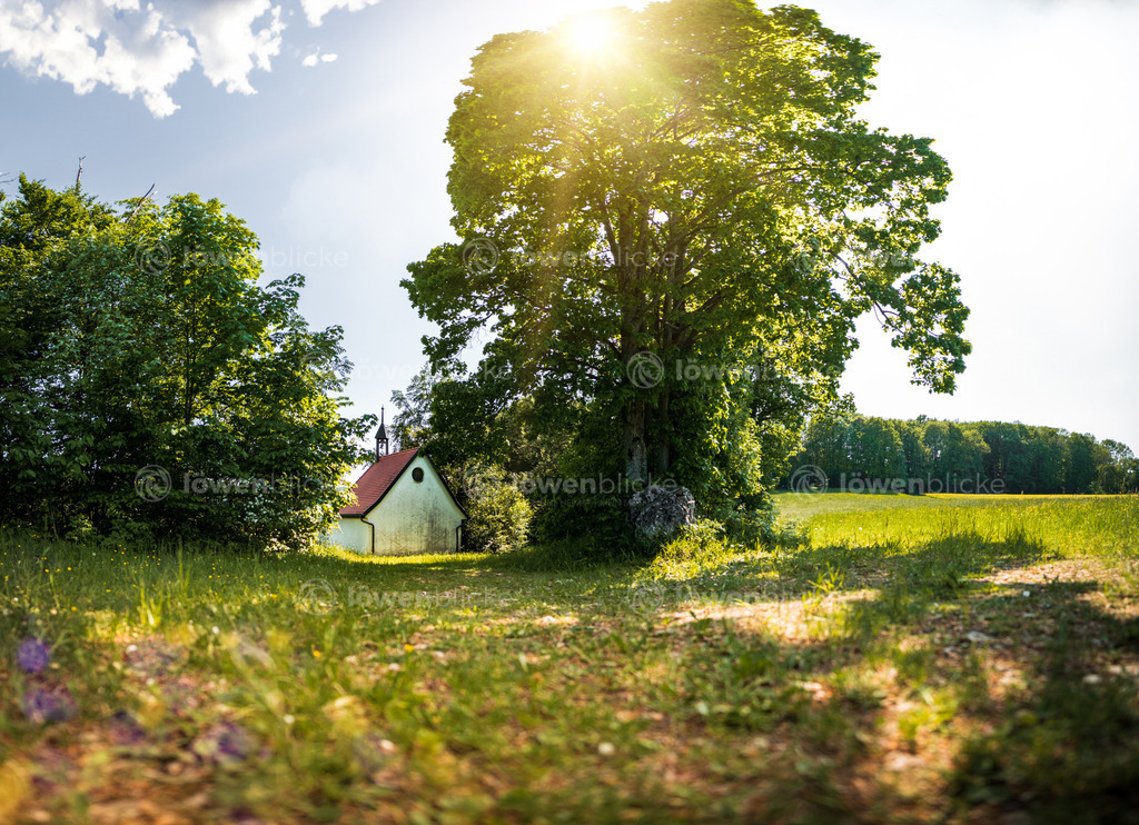 Kreuzkapelle oberhalb von Wiesensteig | löwenblicke | shop