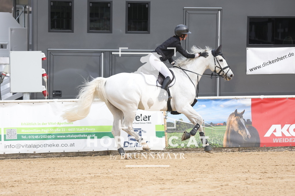0P6A7087 | Willkommen bei Brunnmayr - Design & Fotografie – Ihrem Spezialisten für Reitturniere und Pferdeveranstaltungen in Oberösterreich, Salzburg und Bayern! Seit über 17 Jahren sind wir leidenschaftlich dabei.