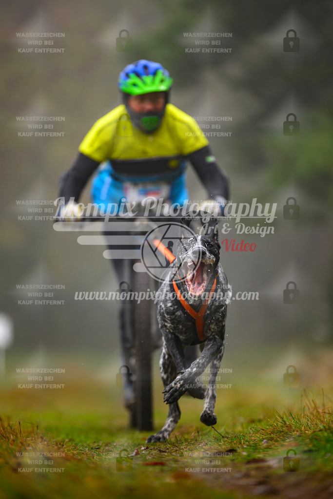 MompixPhotography_Bischwiller2025_Scooter-51 | mompixphotography